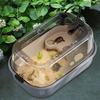 Turtle Aquarium with Platform Easy To Change Water Tortoise Aquarium Habitat for Terrapin Tortoise Crayfish Lizards Crabs