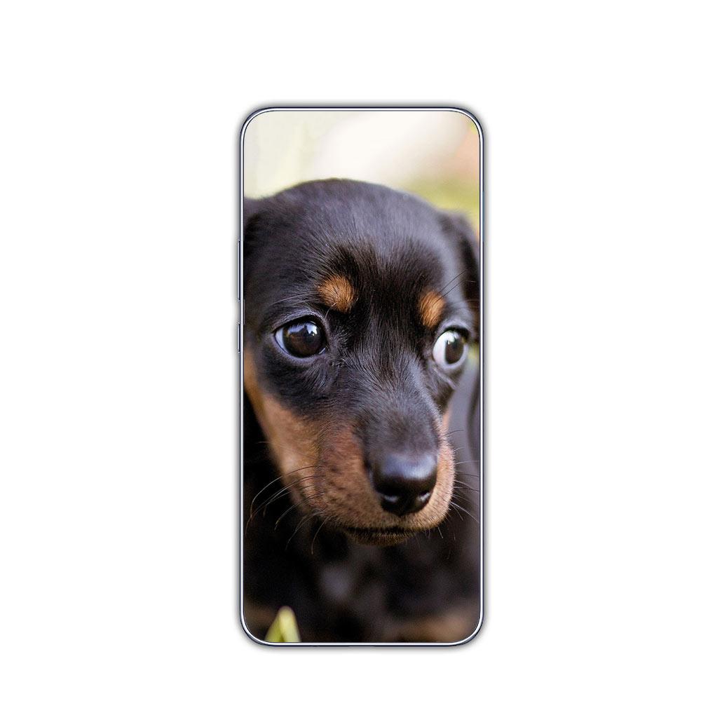 Animal Lovely Dachshund Dog Phone Cover for Motorola Moto G13 G14 G53 G54 G62 G72 G82 G84 E13 E20 G42 G32 G23 G22 Soft Case
