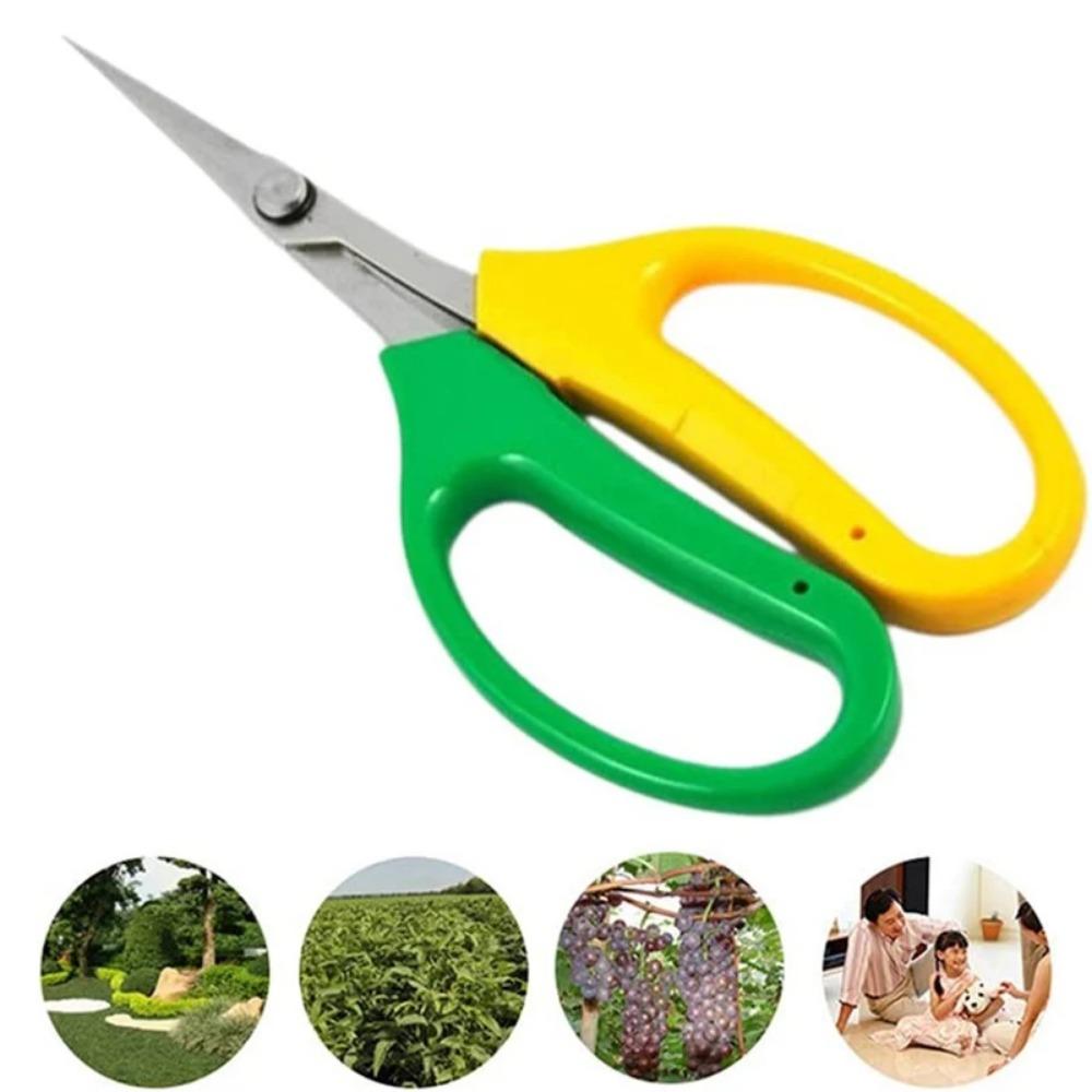 Gardening Tool Scissors Two-color Branch Bonsai Scissors Elbow Rare Fruit Picking Grape Scissors Picking Tool Garden