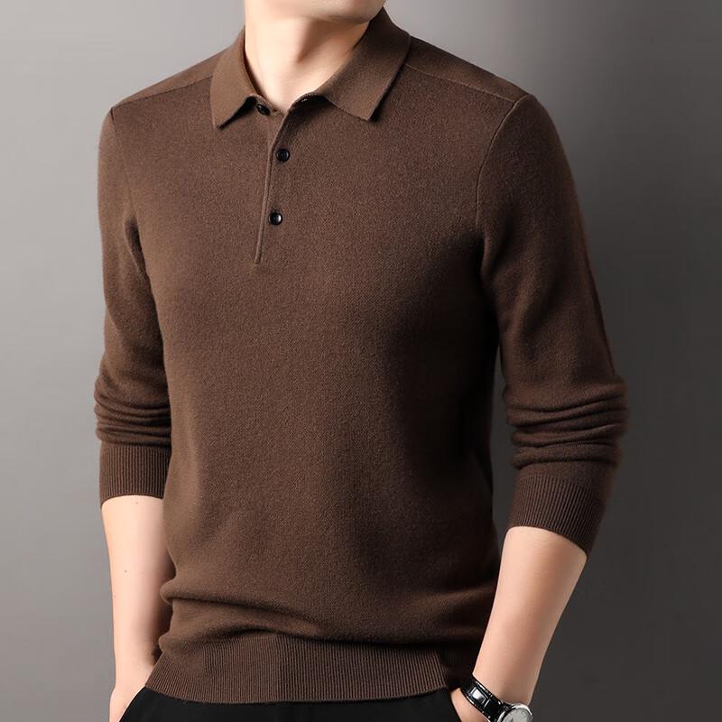 Hengyuanxiang Men's 100% Pure Wool Polo Collar Sweater