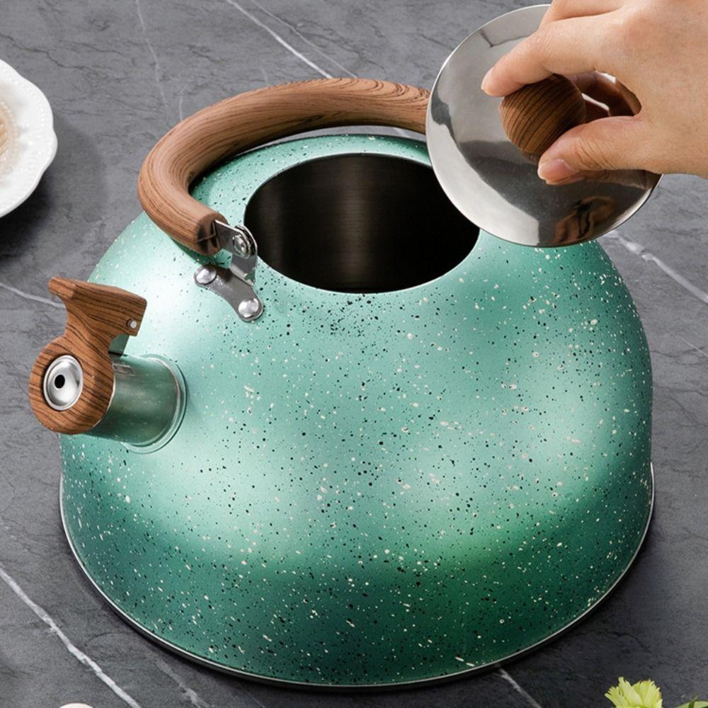 Flat Bottom Star Point Whistle Kettle 2/3L Teapot Durable Stove Water Kettle  Induction Cooker