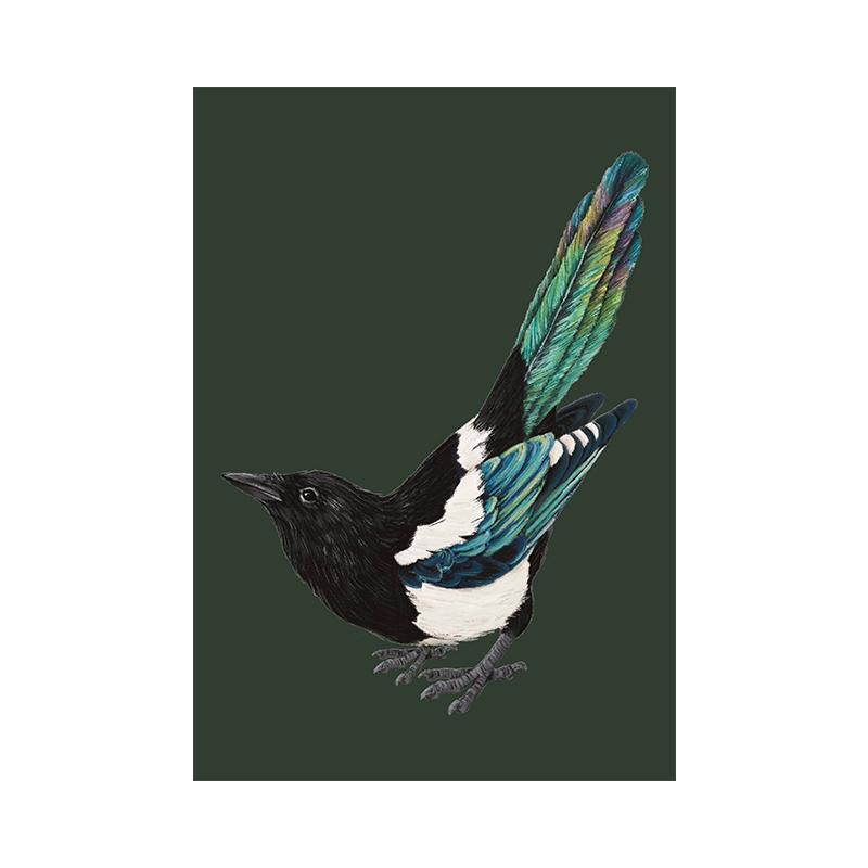American Magpie Painting Vintage Creature Wall Art Canvas Print Poster Colorful Bird Picture for Living Room Home Decor Cuadros