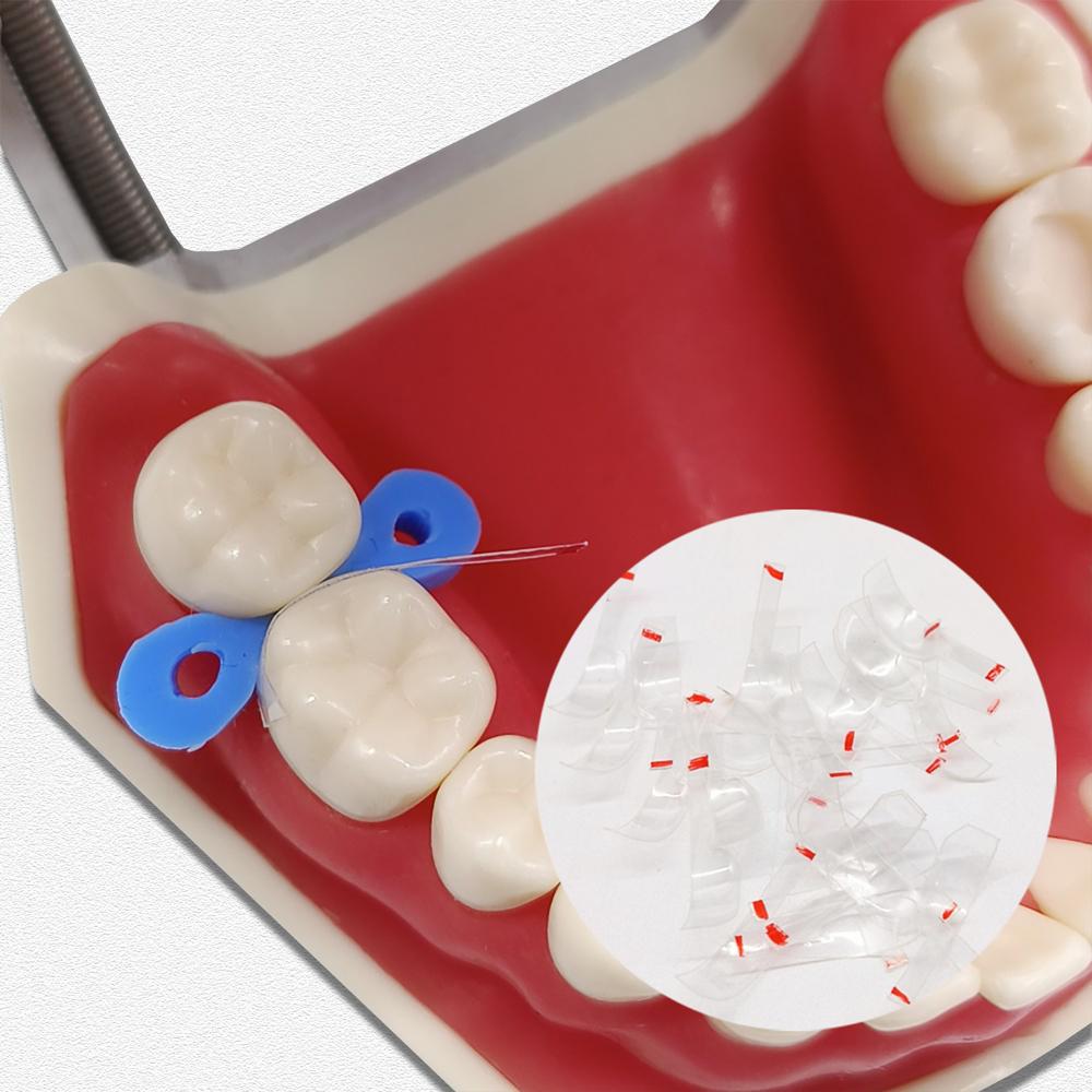 Dental Transparent Sectional Contoured Matrices Matrix Polyester Matrice  for Anterior and Posterior Teeth