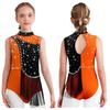 Girls Color Block Gymnastics Leotard with Mock Neck & Keyhole Back, Shiny Rhinestones & Tassels for Dance & Figure Skating