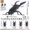 Animalier Collection Giant Stag Beetle x Complete Set of Gachapon Capsule Toy 1/1 4,