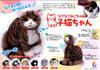 Trendmaster Petting Cat Kitten Ragdoll (Long-haired, white with brown face) [Petting Toy that meows when petted] Realistic Communication Robot