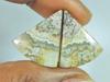 15Cts. AAA Crazy Lace Agate (17X20X03 Mm Each) Fancy Cabochon Matched Pair SK-3069