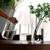 Transparent Glass Flower Vase Simple Design Living Room Decor Fre Flowers Plant Water Cultivation Long Ne Bottle Ape
