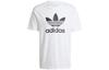 adidas T-shirt Adicolor Trefoil IV5353