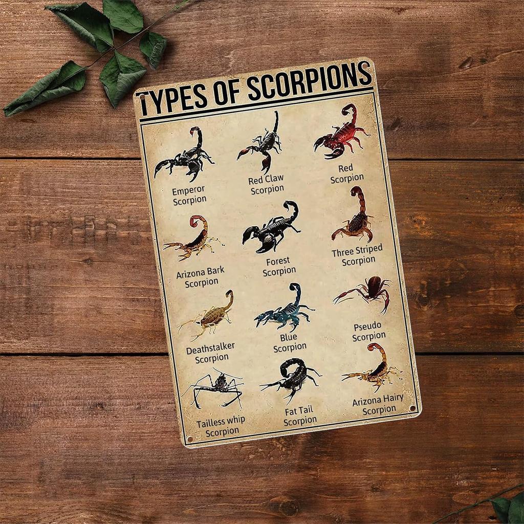 Homely Accents Types of Scorpions Metal Tin Sign, Vintage Poster for Educational Decor Gift for Scorpion Enthusiasts and Biologists, Farm Classroom