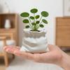 Modern Decorative 3D Printed Planter Vase Pouch Shape Multifunctional Flower Pot Creative White Flower Vase Succulents