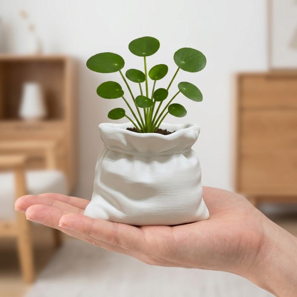 Modern Decorative 3D Printed Planter Vase Pouch Shape Multifunctional Flower Pot Creative White Flower Vase Succulents