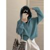 Double Zipper Hooded Knitted Cardigan Women's Autumn Lazy Style Niche Design Sense Stacked Wearing Short Chic Coat