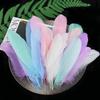 50 Colored Goose Feathers for DIY Dreamcatchers and Art Projects