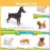 Model Pvc Dog With Doberman Shiba Inu Poodle Samoyed For Display And Gift