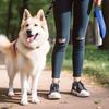 Botella de Agua Grande para Perros de 750 ml Acero Inoxidable Portátil para Exteriores Bebedero para Perros Recipiente de Agua para Viajes Suministros para Mascotas Adecuado para Todas las Razas de Perros Decoración