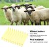 100Pcs Durable Livestock Ear Tags Yellow Animal Ear Tags Perfect Ear Tags  Pig