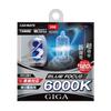 Carmate GIGA Blue Focus H4 6000K BD20 Halogen Car Lights