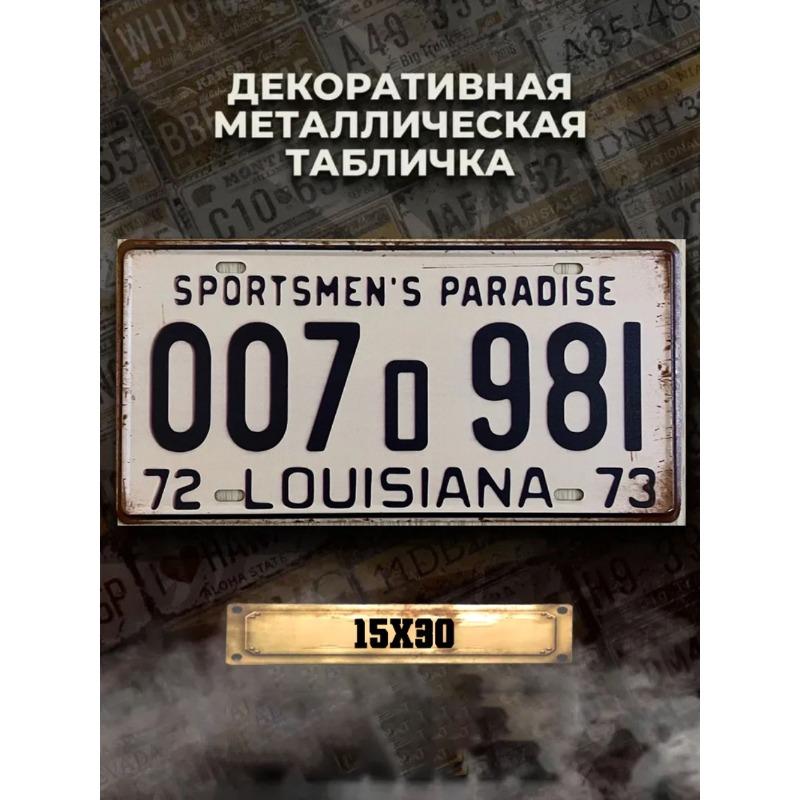 Souvenir Metal License Plate, Custom Auto Sign 15x30cm