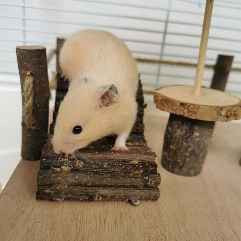 Small Pet Ladder for Hamster Cage Entertainment Jumping Platform Climbing Toy Multiple Playground Toy for Small Animals