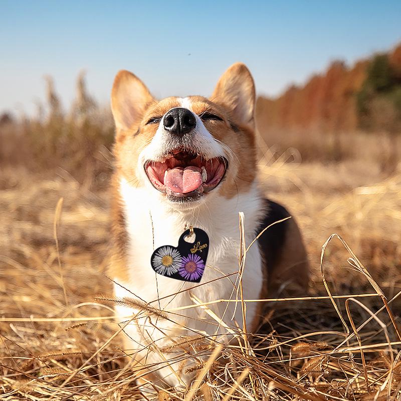 Poppy Crystal Epoxy Silicone Mold for DIY Resin Pet Tags: Heart, Cat Paw, Round, Bone Pendants