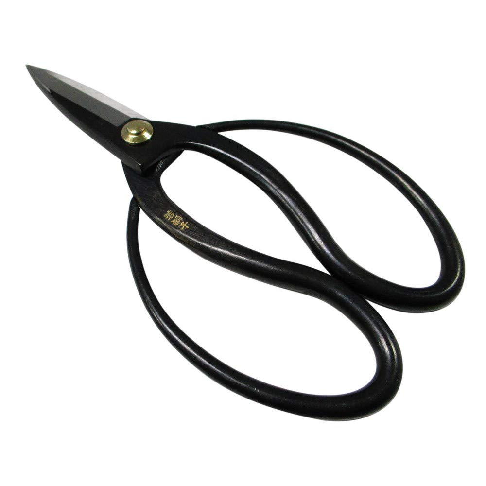 

Вакасиси Длина лезвия Ножницы Окубо полностью стальные 200 мм № 725018