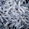 High Quality Brand New  350pcs 4ml Plastic Pipettes Squeeze Transfer Pipettes