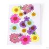Dried Flowers DIY Decorative for Resin Jewelry Making Crafts Nail Stickers