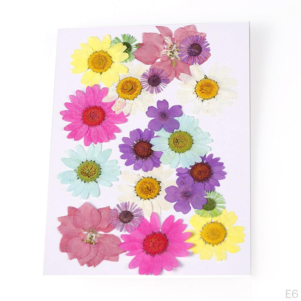 Dried Flowers DIY Decorative for Resin Jewelry Making Crafts Nail Stickers
