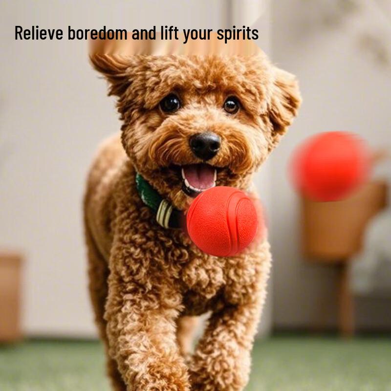 Dog Solid Rubber Training & Chew Ball