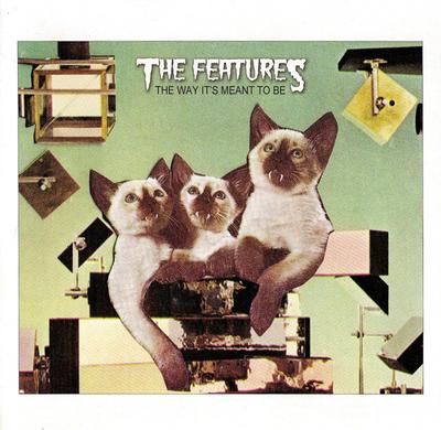7-Zoll-Schallplatte FEATURES The Way Its Meant To Be MCS40422 Universal Recor 2005 UK Rock Gebraucht