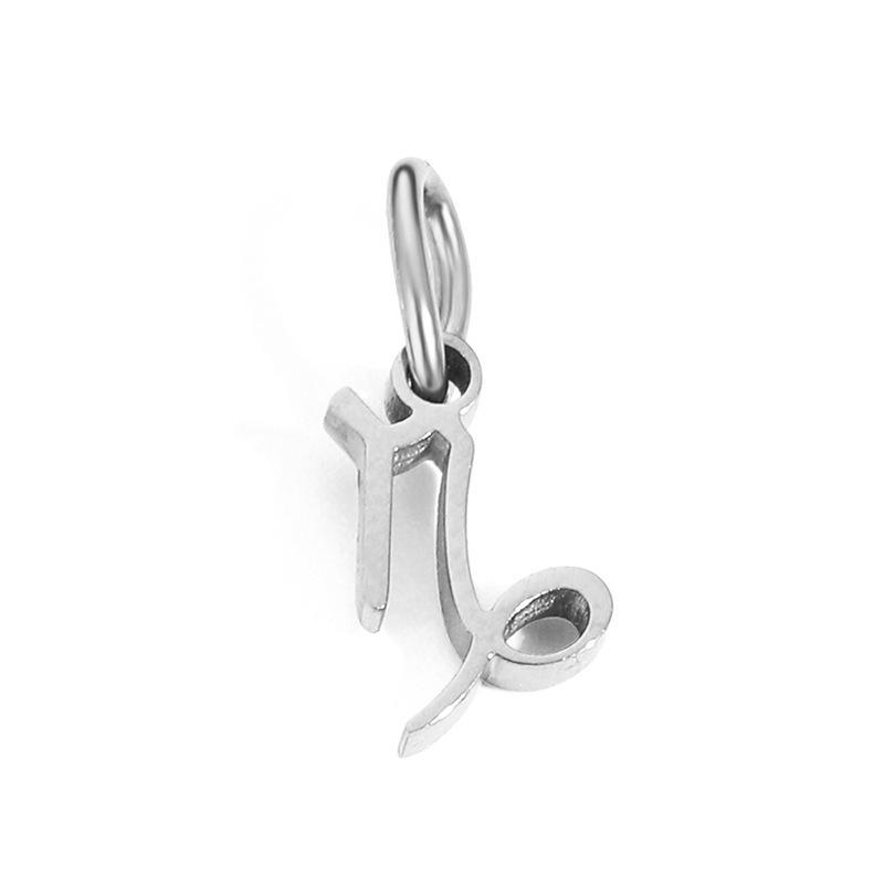 Stainless Steel Zodiac Jewelry Pendants for DIY Necklaces and Bracelets