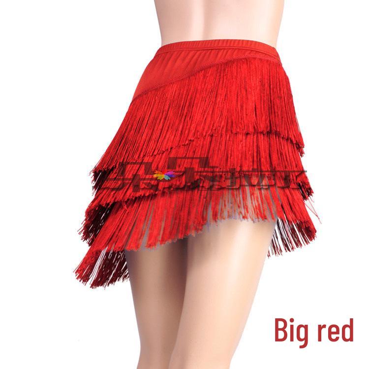 Women's Plus Size Latin Dance Costume with Tassel Skirt for Practice