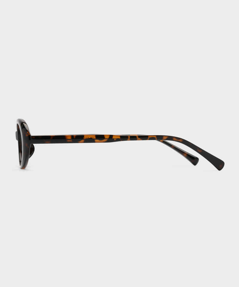 Nonpig Bera_Lp Eyeglass Frames