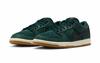 FJ1674-300 Nike SB Dunk Low Pro Deep Fir (man)