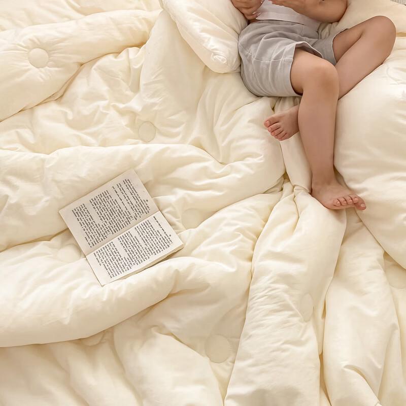 Jelyard Xinjiang Cotton & Soybean Fiber Winter Quilt