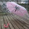 Hanyou Large Transparent Long-Handle Umbrella for Two