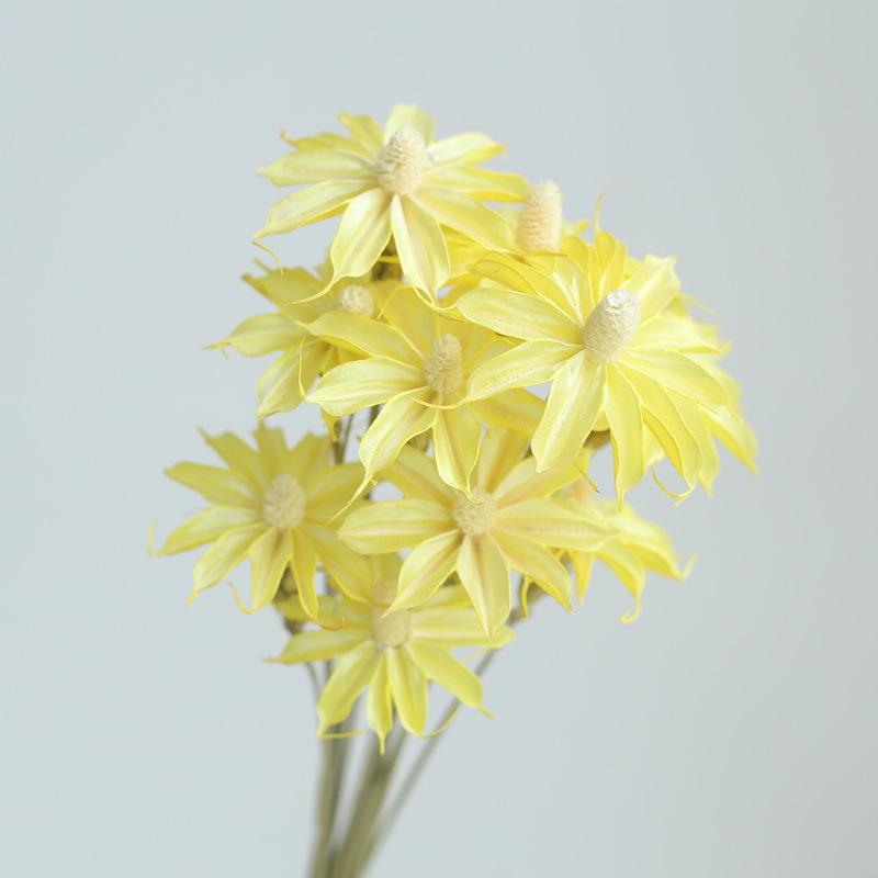 Yunnan Dried & Immortal Flowers Bouquet: Baby's Breath, Roses, Forget-Me-Nots for Home & Homestay Decor