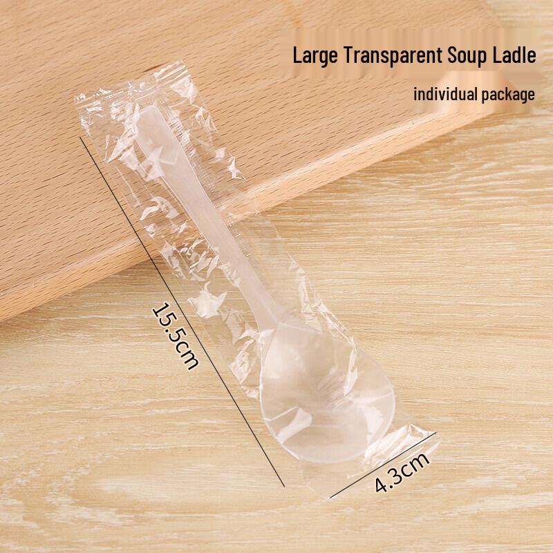 Commercial Thickened Plastic Disposable Spoons