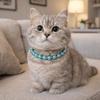 Lace Bow Decor Bling Cat Necklace Imitation Pearl Dog Neck Jewelry  Pet Daily Wear
