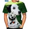 Beautiful Dalmatians 3D Printed T-Shirt Dalmatians Fashion Men Women's Personality Hip Hop Casual T Shirt Male Streetwear Tops