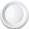Eko Paper Plates .