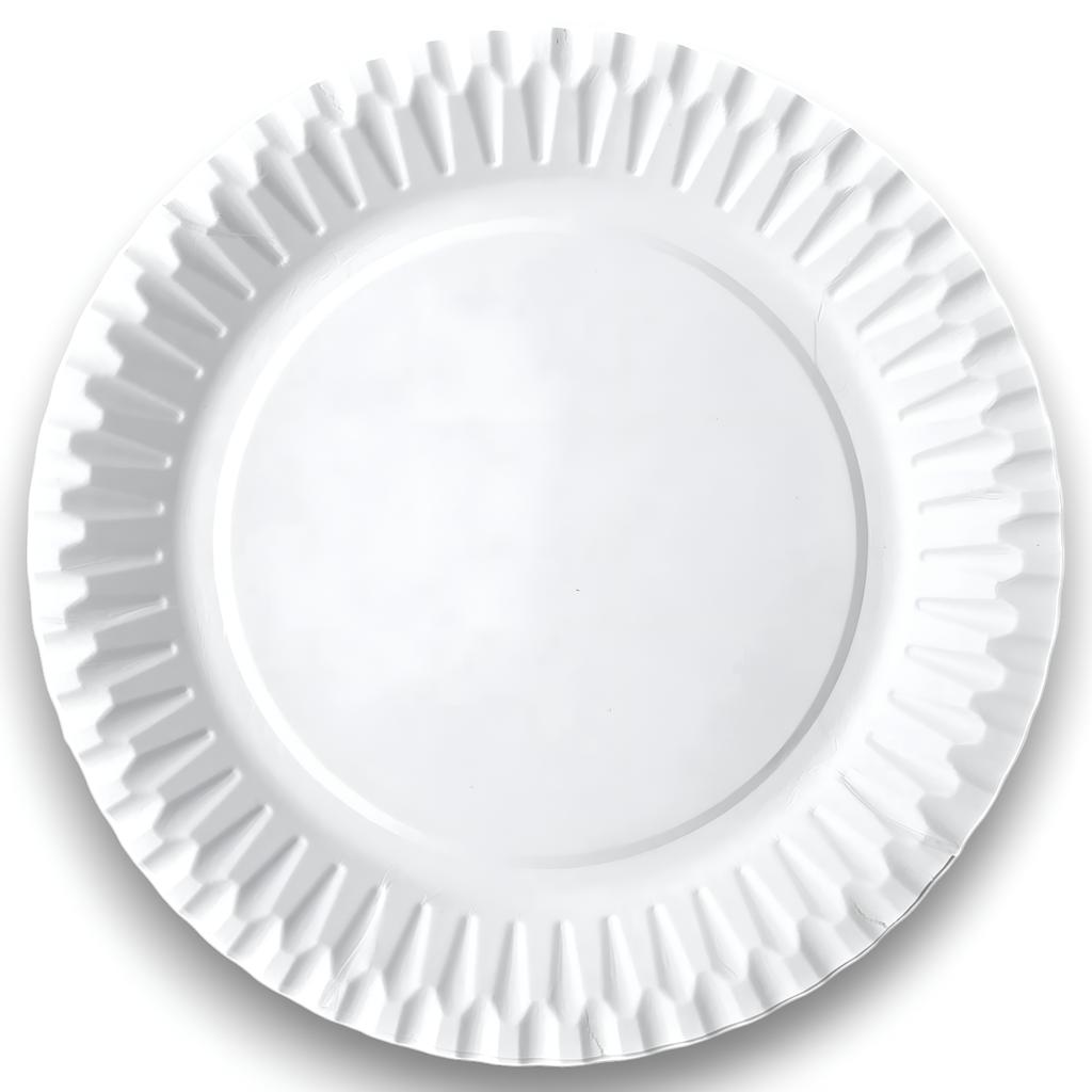 Eko Paper Plates .