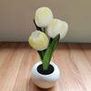 Night Light USB Rechargeable Wireless Tulip LED Lamp Touch Control Dimmable Cute Desk Lamp for Bedroom Living Room Travel Gift for Women Mom