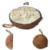 Food for Wild Birds, 12 Half Coconuts, Complete Feed