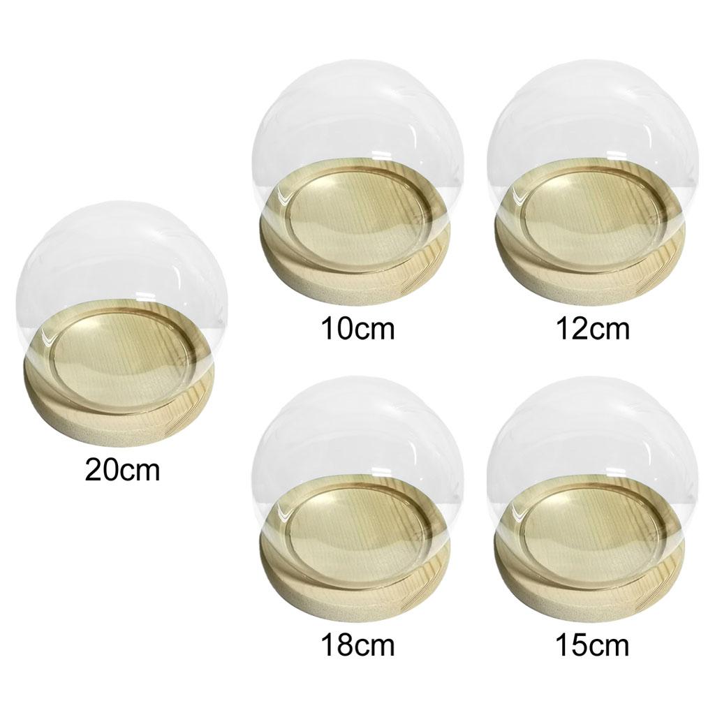 Gläserne Display-Cloche Terrarium Kugelförmige Abdeckung mit Holzsockel