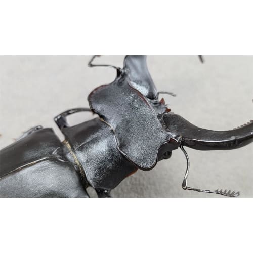 BACALYSO | Nirvana European Stag Beetle Figure, Coleoptera, Lucanidae, Genus Lucanidae, Refrigerator Ornament, Magnetic, Realistic, Adult, Illustrated