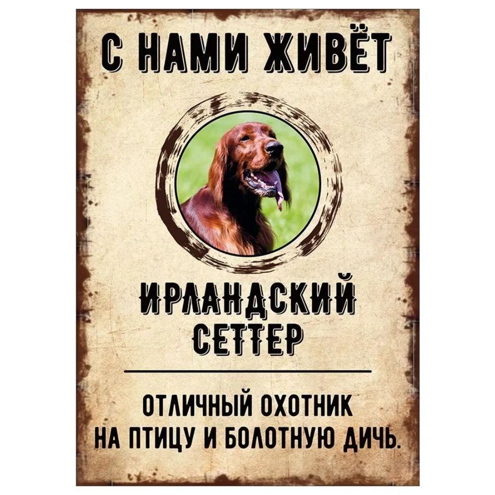 Schild, dekorativ, GEFAHR HUND, Schnauzer lebt bei uns, 20x30cm