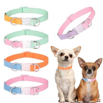 Köpek – Köpek Tasmaları ve Tasma Kayışları