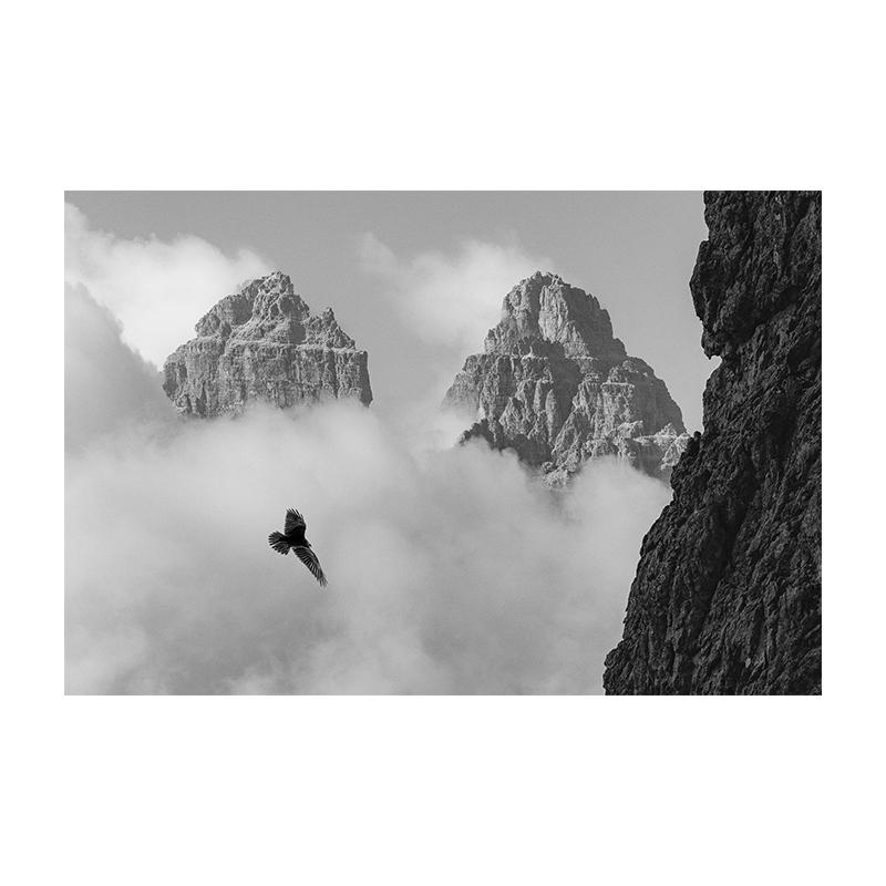 Lesní Jelen Orel Černobílý Krajina Plakát Skandinávská Minimalistická Malba Severské Nástěnné Umění Obrázek Plátno Tisky Pokojová Dekorace